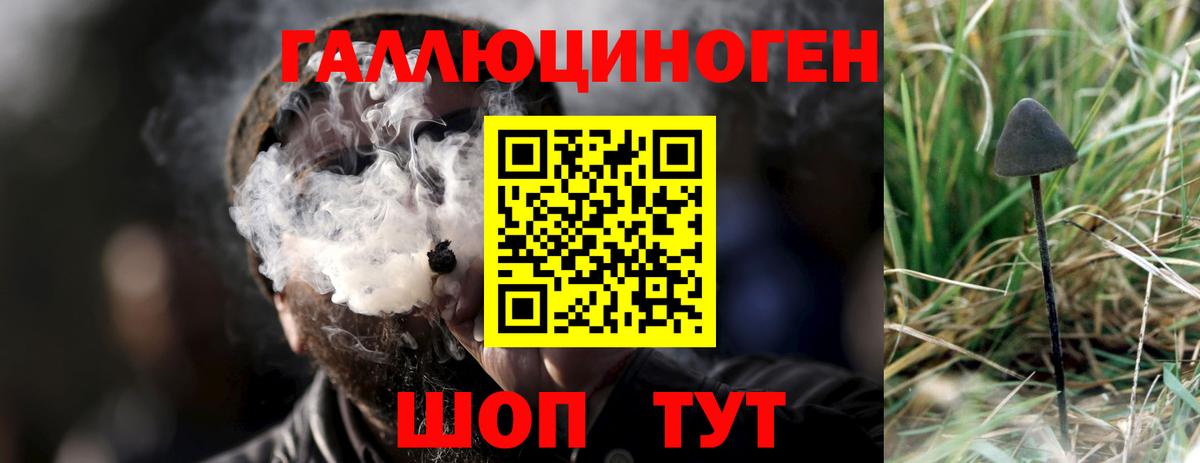 Усть-Илимск  Галлюциногенные грибы прущие грибы  Псилоцибиновые грибы ЛСД  Вход с VPN 